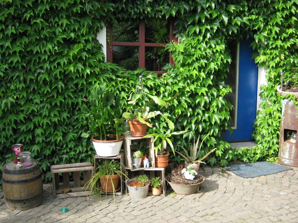 Stierstall-Suite Pension Валенау Экстерьер фото